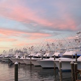 Entry image for Pink Sky at Night