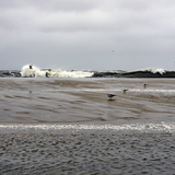Entry image for Erin and the gulls