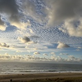 Entry image for Rejoice in the Morning