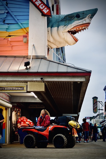 The Lifeguard and The Shark