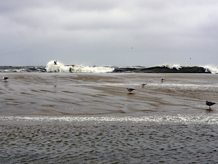 Entry image for Erin and the gulls. Clicking this image will show a larger photo