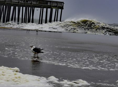 Entry image for should we stay or should we go now. Clicking this image will show a larger photo