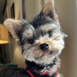 Entry image for Pebbles Parmer