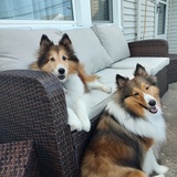Entry image for Jersey and Brandy Kuhn 