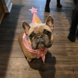 Entry image for Cooper Wonders