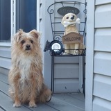 Entry image for Roxy - Maldonado