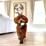 Entry image for Teddy Lugo