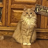 Entry image for Marvin Miller 