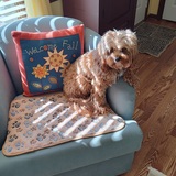 Entry image for Callie Brubaker