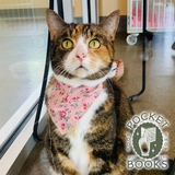 Entry image for Bonnie - Sponsored by Pocket Books