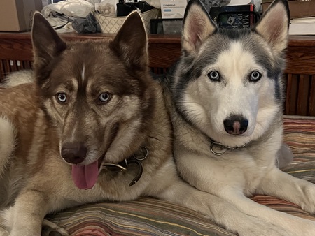 Bella and Timber Bushman