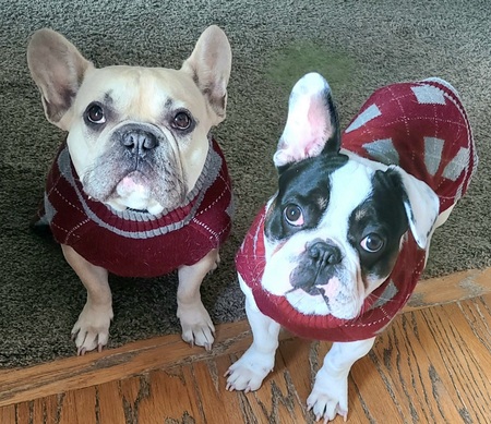 Big Lou & Wally