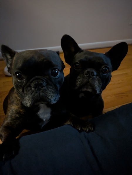 Molly and Basil Pammer