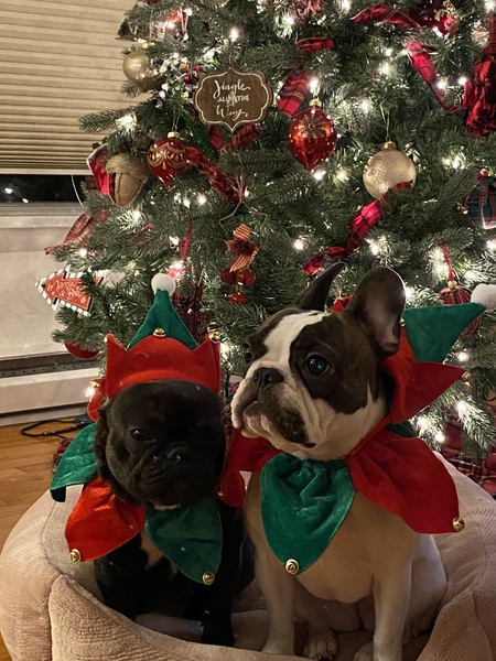 Maggie and Evie Cradic