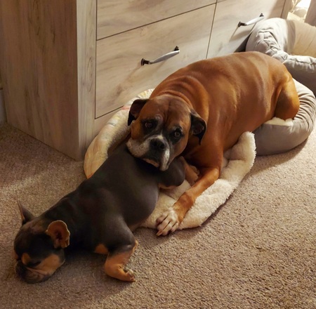 Ellie Mae & Tobie Grace Thompson