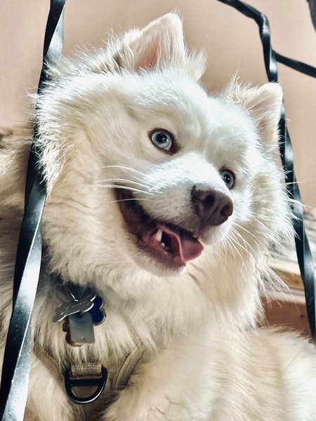 Stormy Gavin