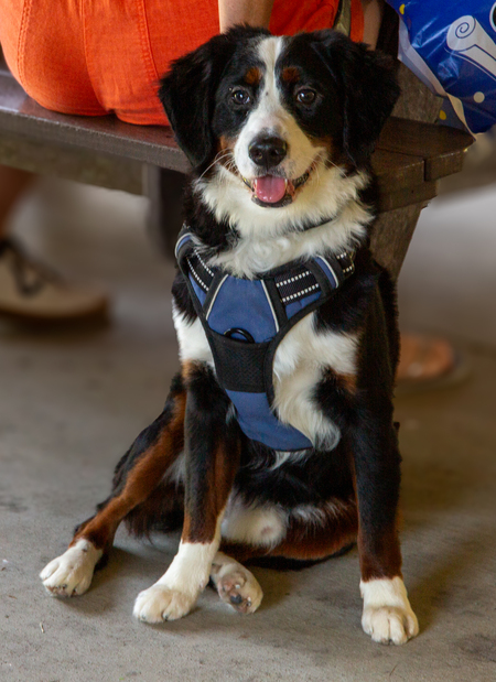 Maximus Quon Egan