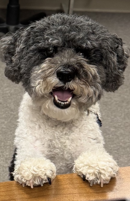 Entry image for Roscoe Short. Clicking this image will show a larger photo