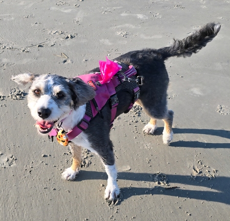 Entry image for Dolly Walmer. Clicking this image will show a larger photo