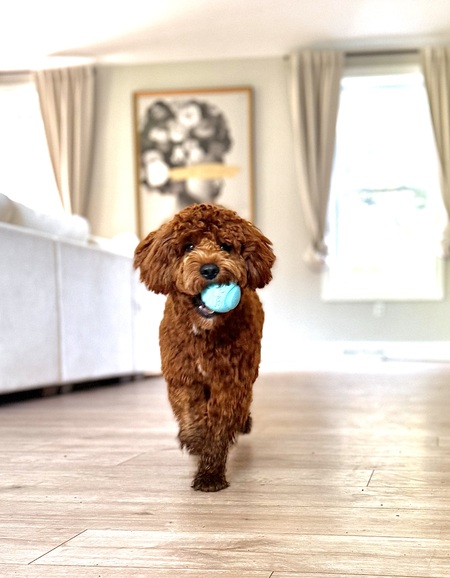 Entry image for Teddy Lugo. Clicking this image will show a larger photo