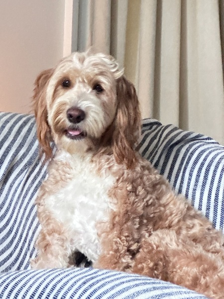 Entry image for Mabel       Kleckner. Clicking this image will show a larger photo