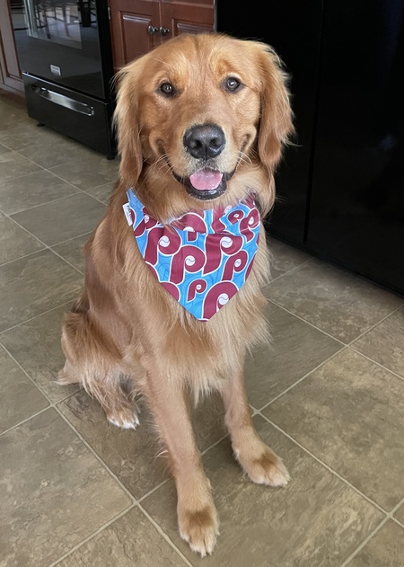 Entry image for Murphy Mange. Clicking this image will show a larger photo