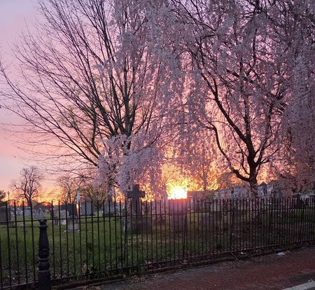 Lime street cemetery near LGH