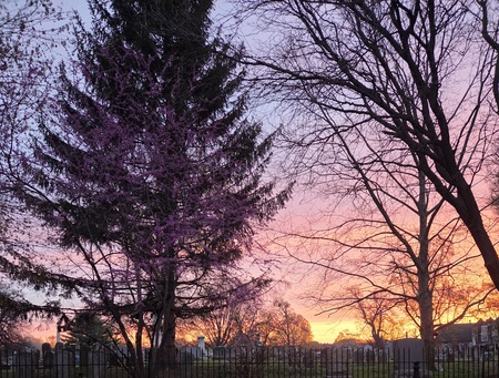 Lime Street Cemetery 