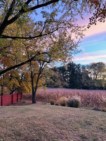 My backyard inEast Hempfield 