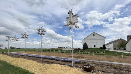 Spooky Nook Farm, Landisville