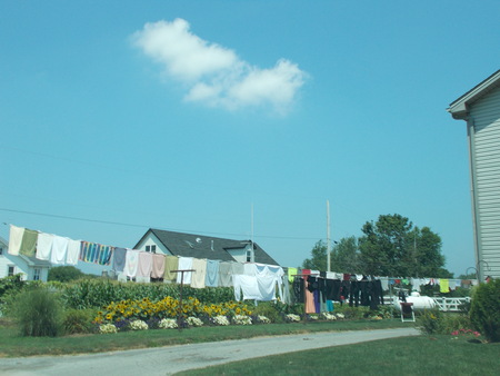 Amish wash line             Strasburg,Pa area