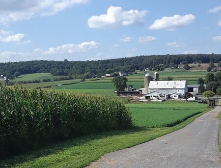 Lancaster County Farmland