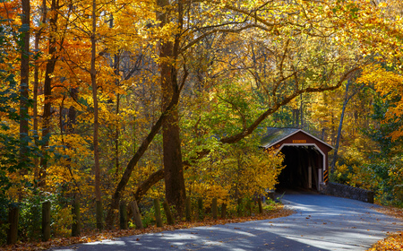 Fall in County Park