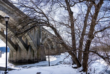 Peaceful Winter  at the Columbia River Park 