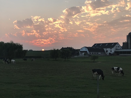 Sunset In Penn Twp