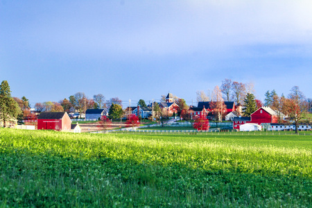 EARLY FALL MORNING IN LEOLA 