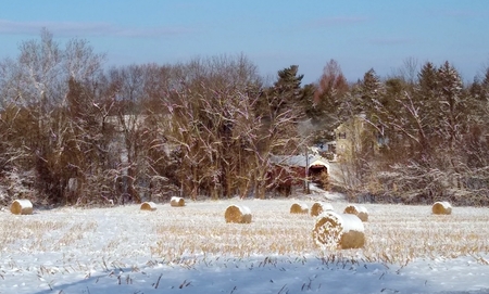 Forry's Mill Covered Bridge , West Hempfield Township