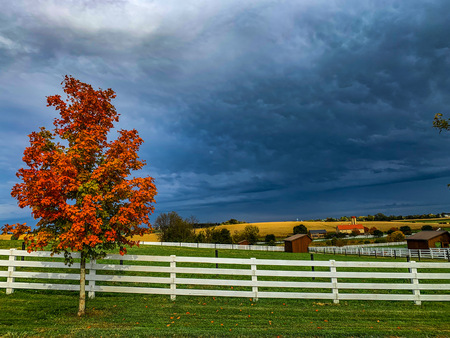 Fall Storm Brewing in the East - Willow Street