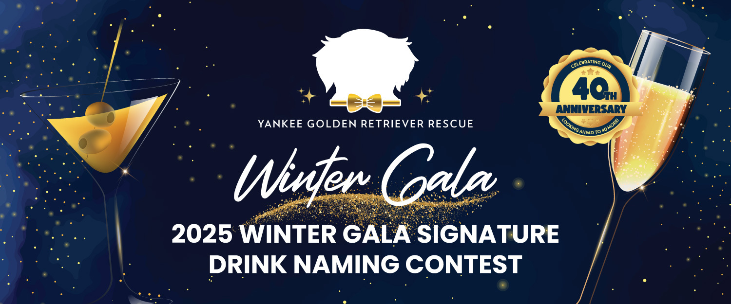 Banner for 2025 WINTER GALA - SIGNATURE DRINK NAMING CONTEST