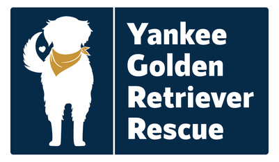 Logo for 2025 WINTER GALA - SIGNATURE DRINK NAMING CONTEST