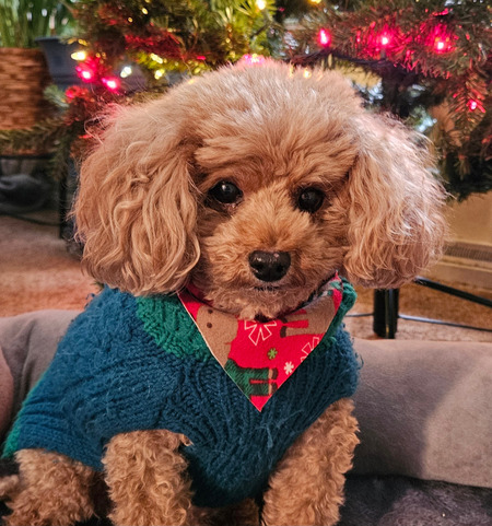 Max