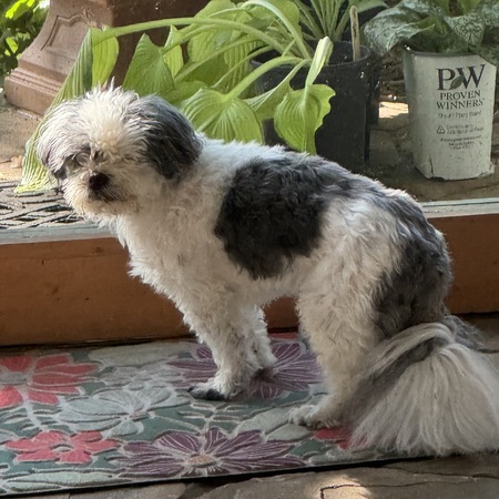 Bobby