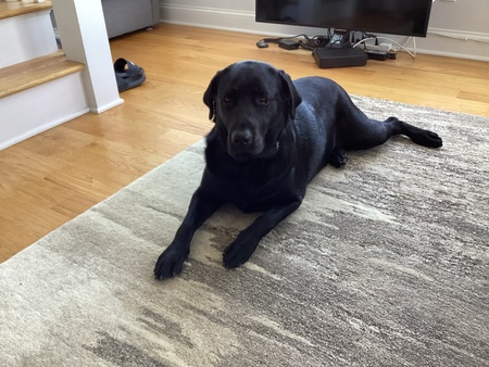 Maggie