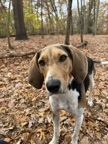 Jethro aka Jet 