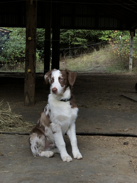 Axle