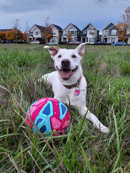 Nora