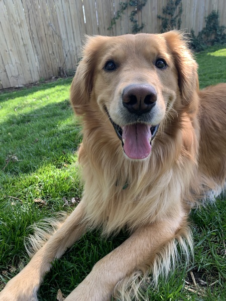 Tucker
