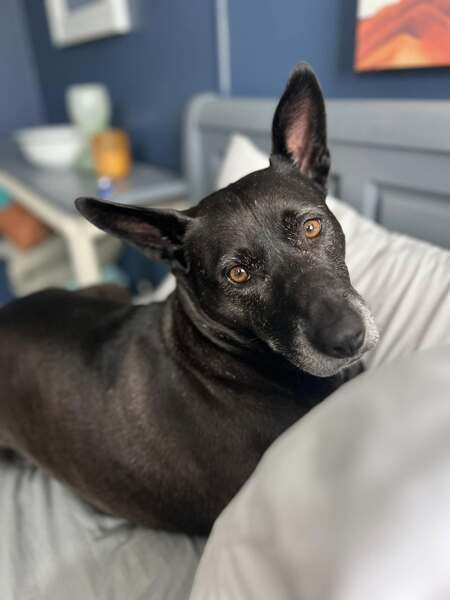 Athena - Aka "Tina"