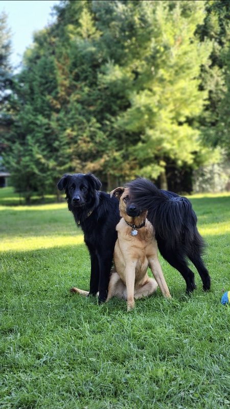 Sonny & Nellie