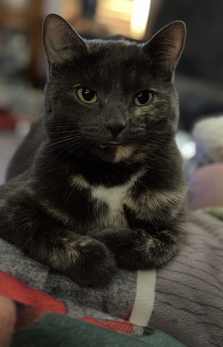 Zoe